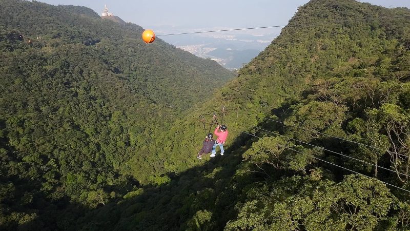 Parque da Serra do Mar terá unidade de combate a incêndio – 16/01/2025 – Ambiente