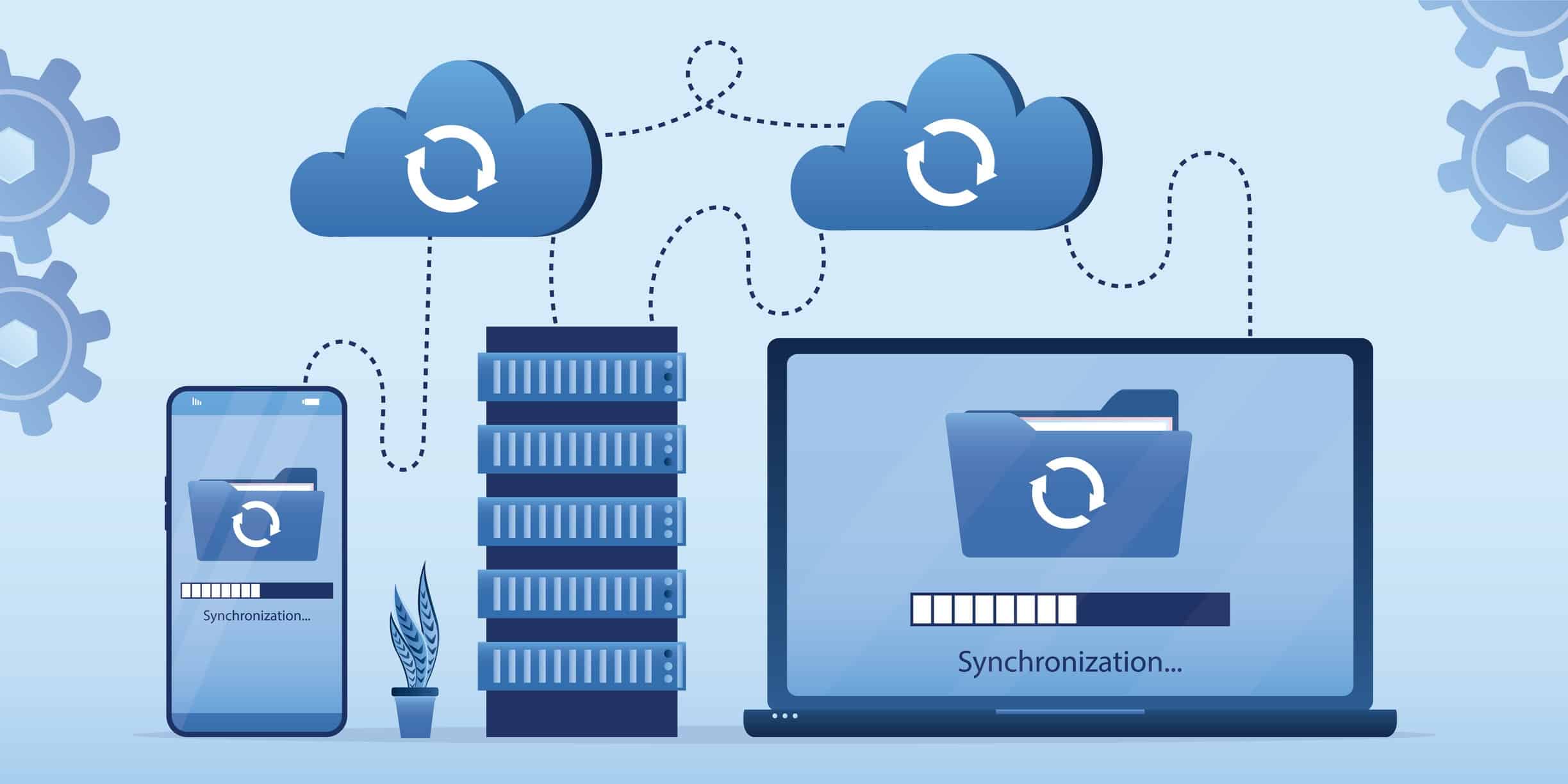 Por que é necessário fazer o backup diário do servidor?