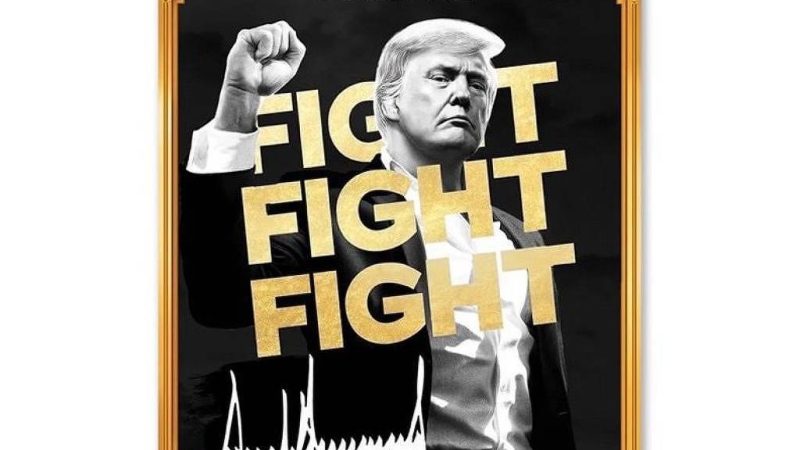 Solana dá salto após Trump criar sua própria criptomoeda – 18/01/2025 – Tec
