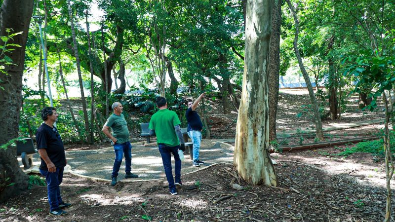 Técnicos da Prefeitura de Paulínia realizam vistorias em parques municipais – Jornal Aqui Paulínia