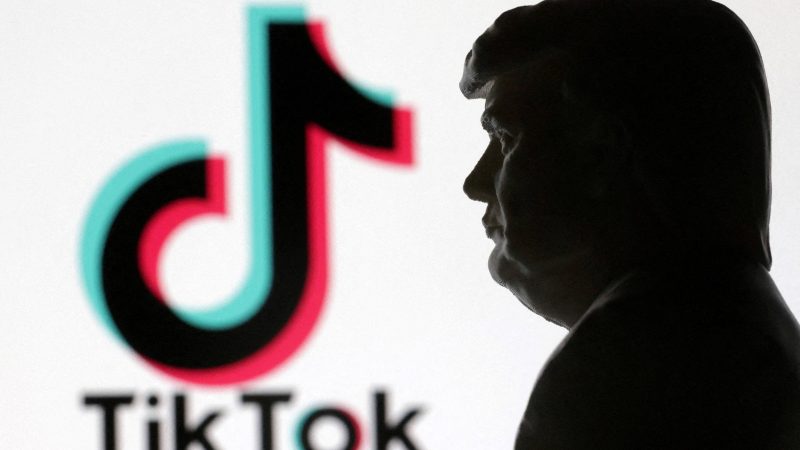 TikTok pode estar com dias contados; Trump pode salvá-lo? – 17/01/2025 – Mercado