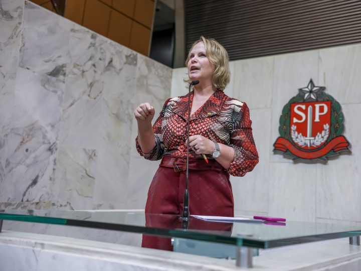 Ana Perugini pede derrubada de veto a projeto que cria ‘PIB da Vassoura’ em SP