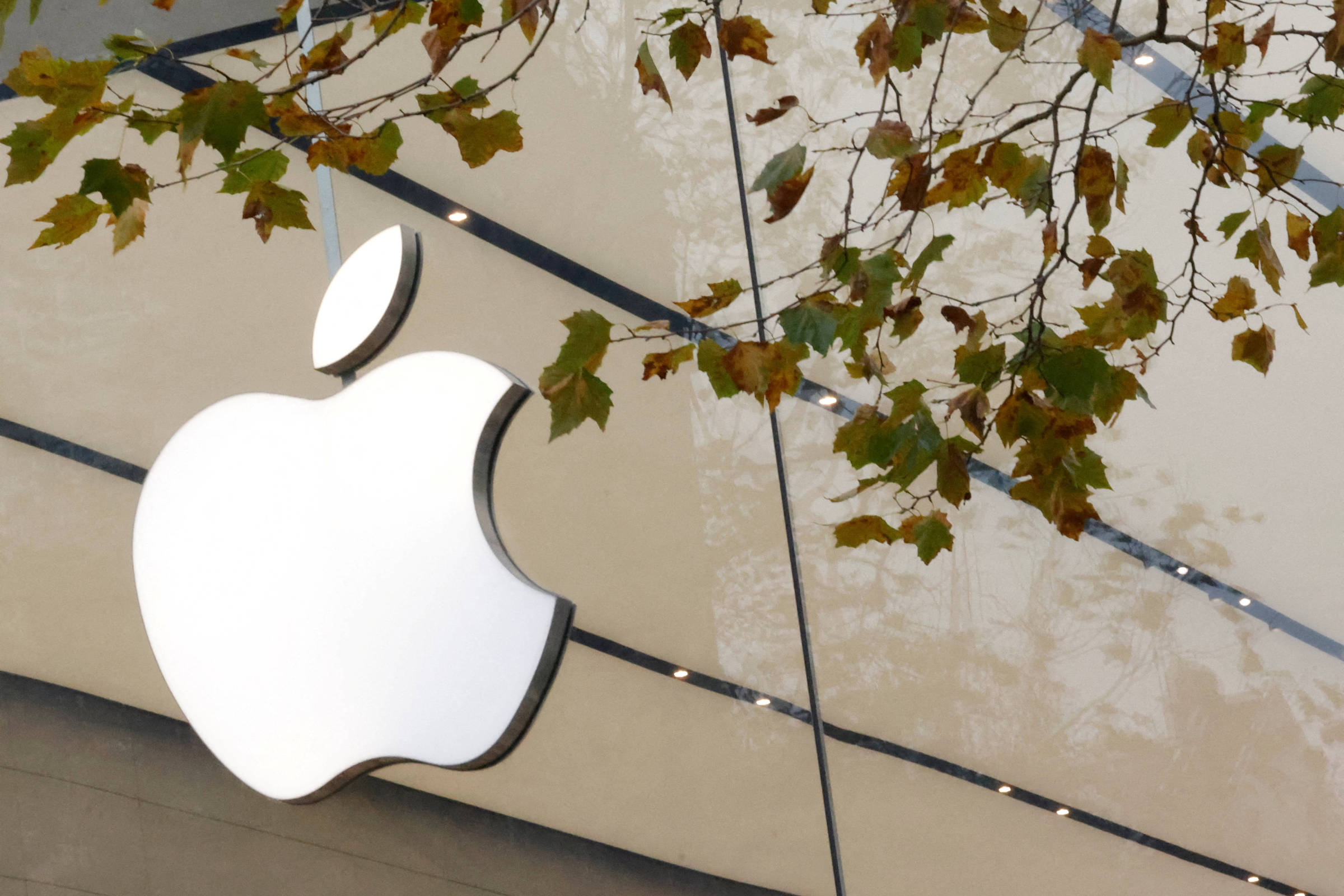 Apple está preocupada com apps pornográficos em iPhones – 04/02/2025 – Mercado