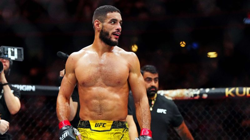Conheça os brasileiros que vão lutar no UFC Vegas 102