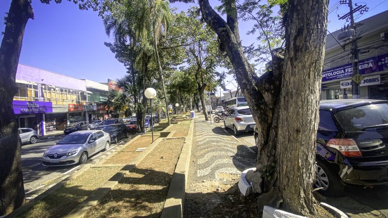 Douglas indica revitalizar o Centro e criar escolinha de skate na cidade – Câmara Municipal de Paulínia – Jornal Aqui Paulínia