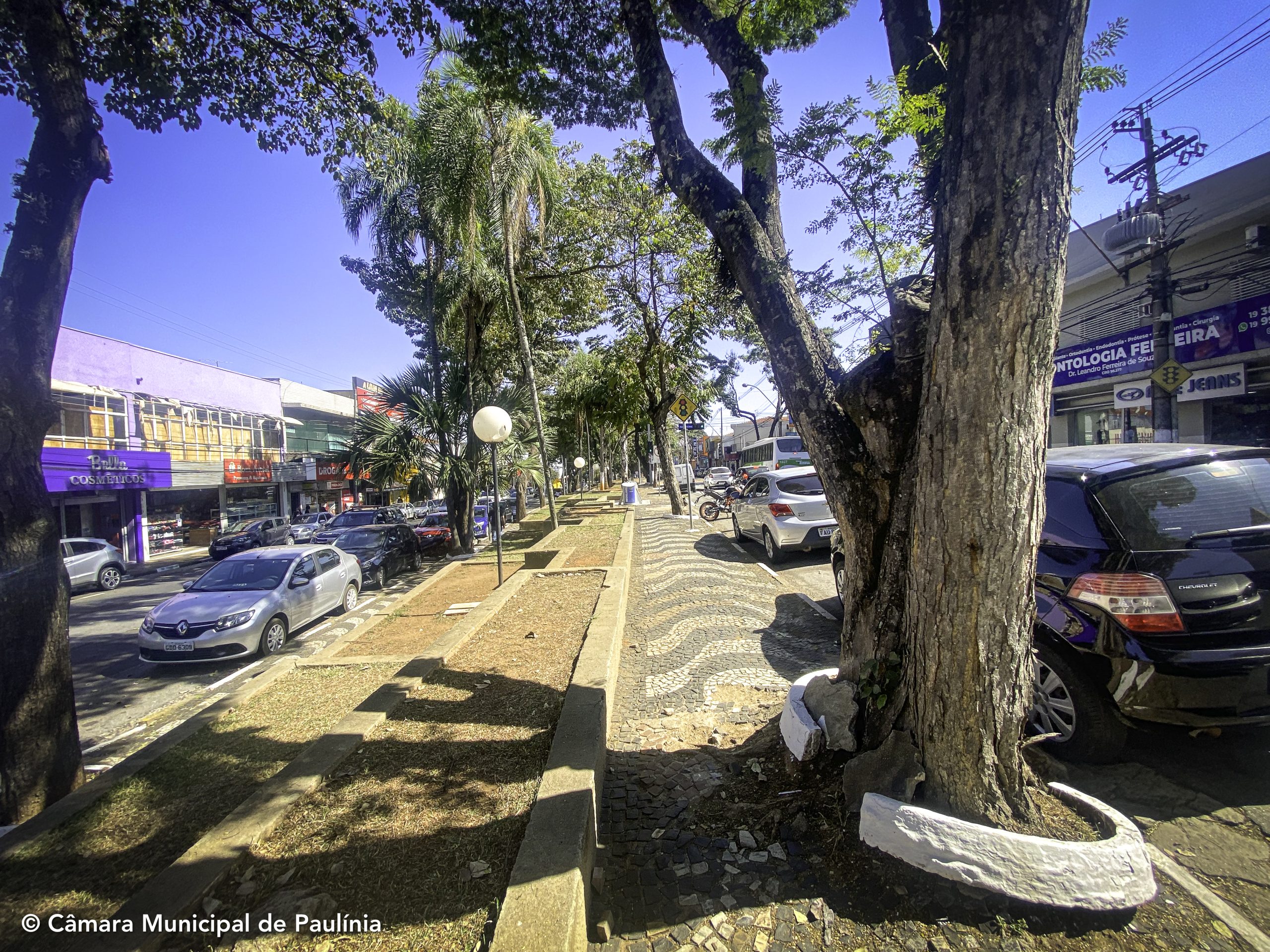 Douglas indica revitalizar o Centro e criar escolinha de skate na cidade – Câmara Municipal de Paulínia – Jornal Aqui Paulínia