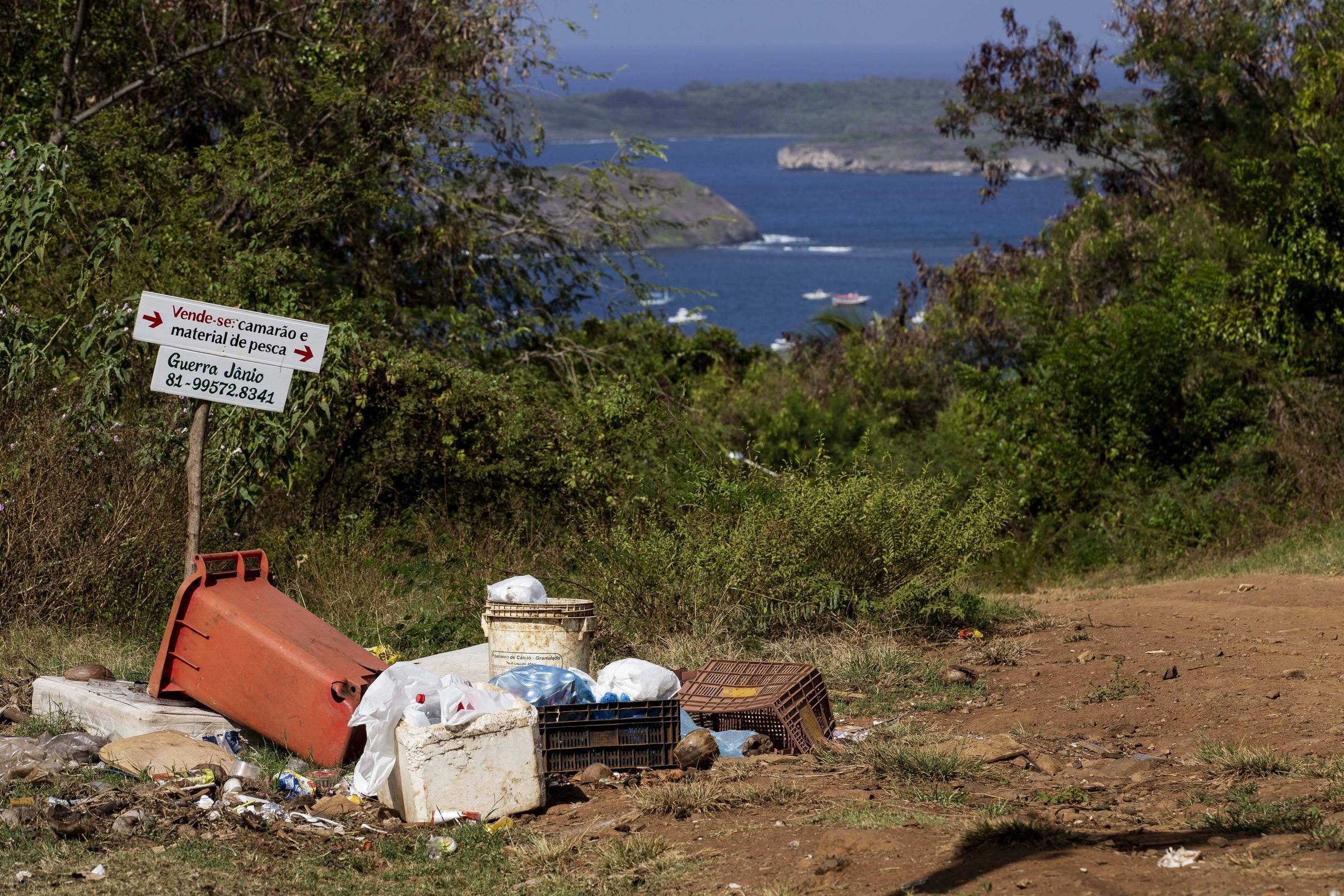 Estudo encontra poluição por esgoto em Fernando de Noronha – 02/02/2025 – Ambiente