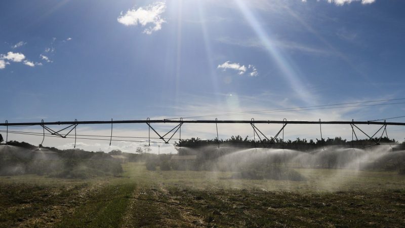 Governo publica MP com crédito extraordinário de R$ 4 bi a Plano Safra