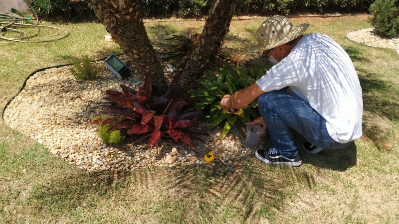 Mais seis bairros recebem ações de combate à dengue – Jornal Aqui Paulínia