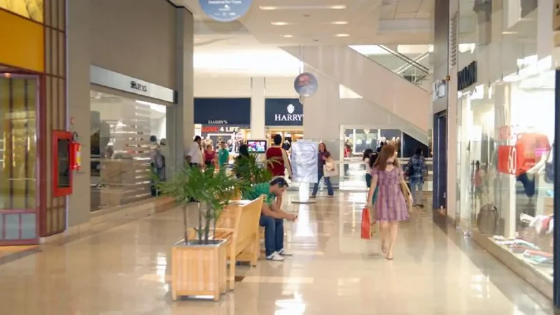 Mercado de franquias cresce 13,5% e fatura R$ 273 bilhões em 2024