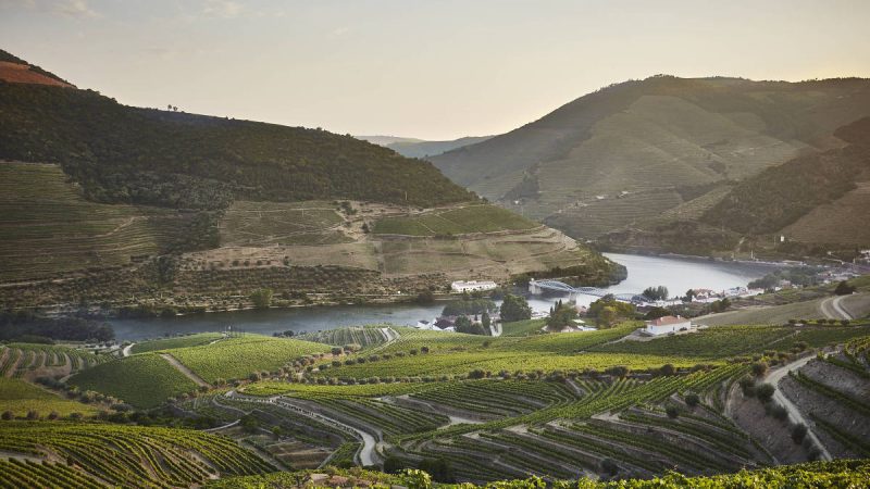 Portugal aumenta investimento em roteiros gastronômicos – 19/02/2025 – Turismo