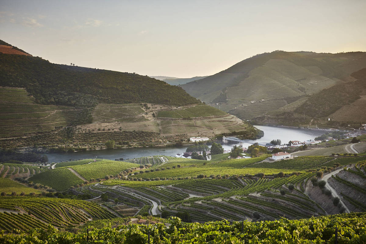 Portugal aumenta investimento em roteiros gastronômicos – 19/02/2025 – Turismo