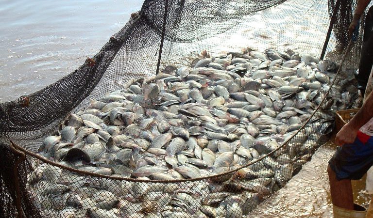 Projeto aprova acordo internacional que regulamenta subsídios à pesca – Notícias