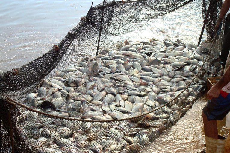 Projeto aprova acordo internacional que regulamenta subsídios à pesca – Notícias