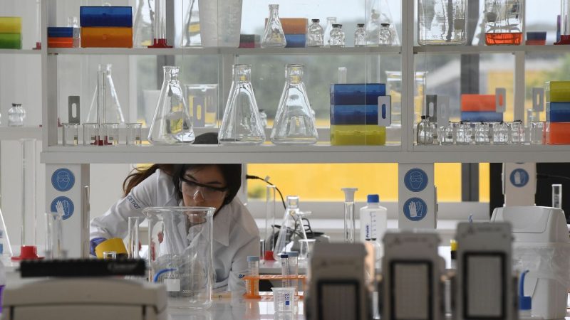 Senai atenderá 10,8 mil micro, pequenas e médias indústrias em 2025