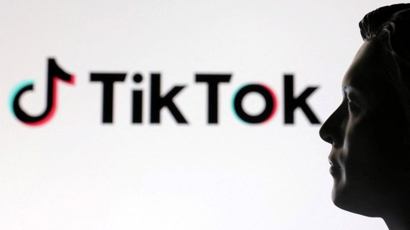 TikTok: Musk diz que não tem planos de comprar operação – 08/02/2025 – Tec