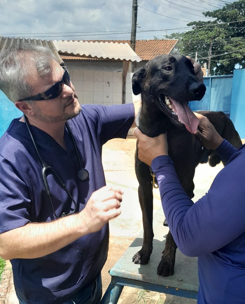 Bem-estar Animal de Sumaré destaca as principais ações realizadas no primeiro mês de gestão