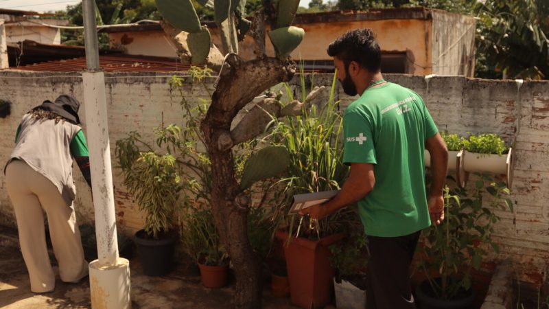 Com permanência do calor, população de Hortolândia deve manter cuidados contra Aedes aegypti – Jornal Aqui Paulínia