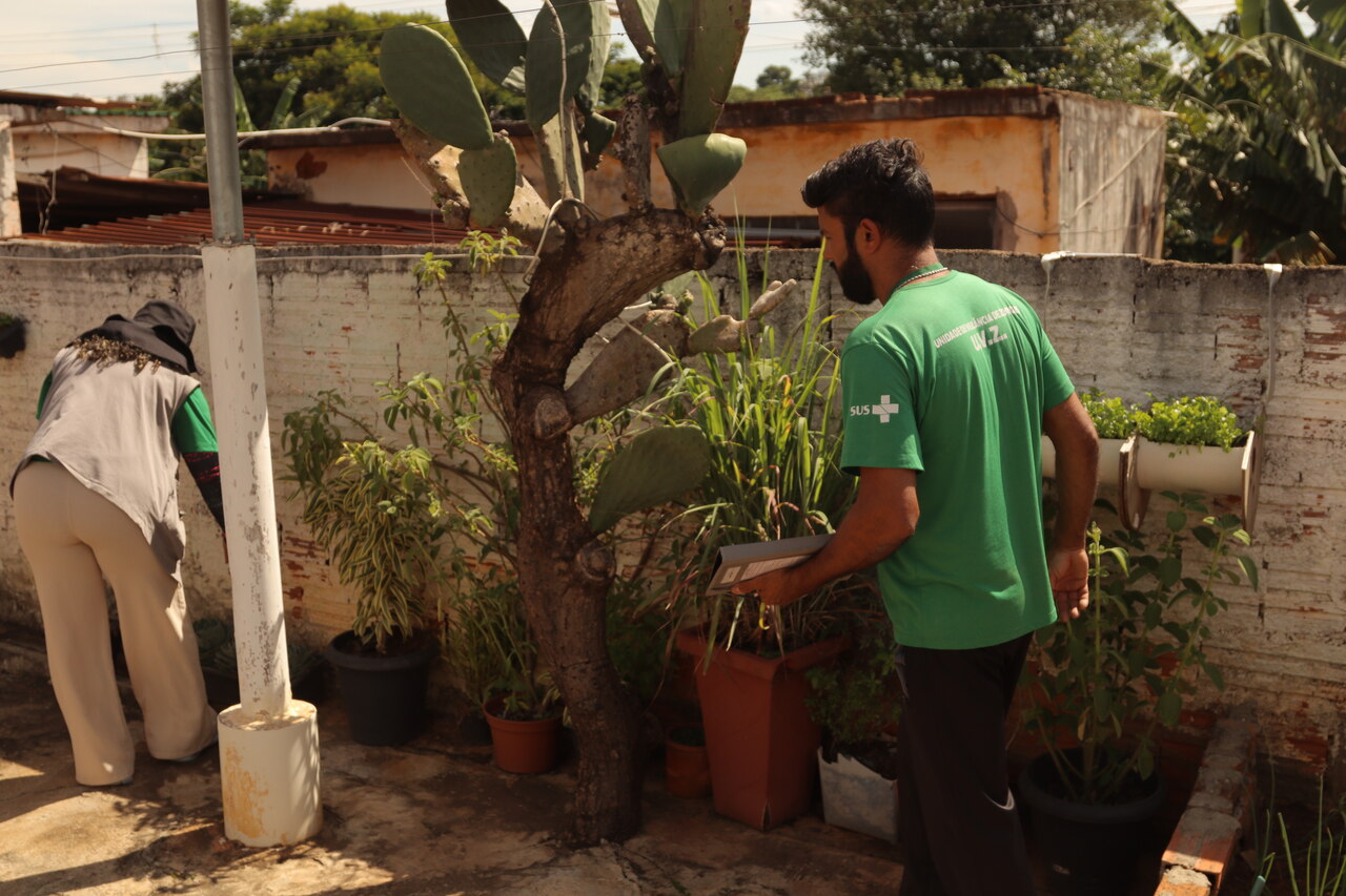 Com permanência do calor, população de Hortolândia deve manter cuidados contra Aedes aegypti – Jornal Aqui Paulínia