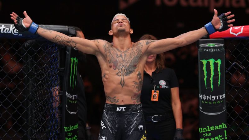 Conheça os brasileiros que vão lutar no UFC Londres