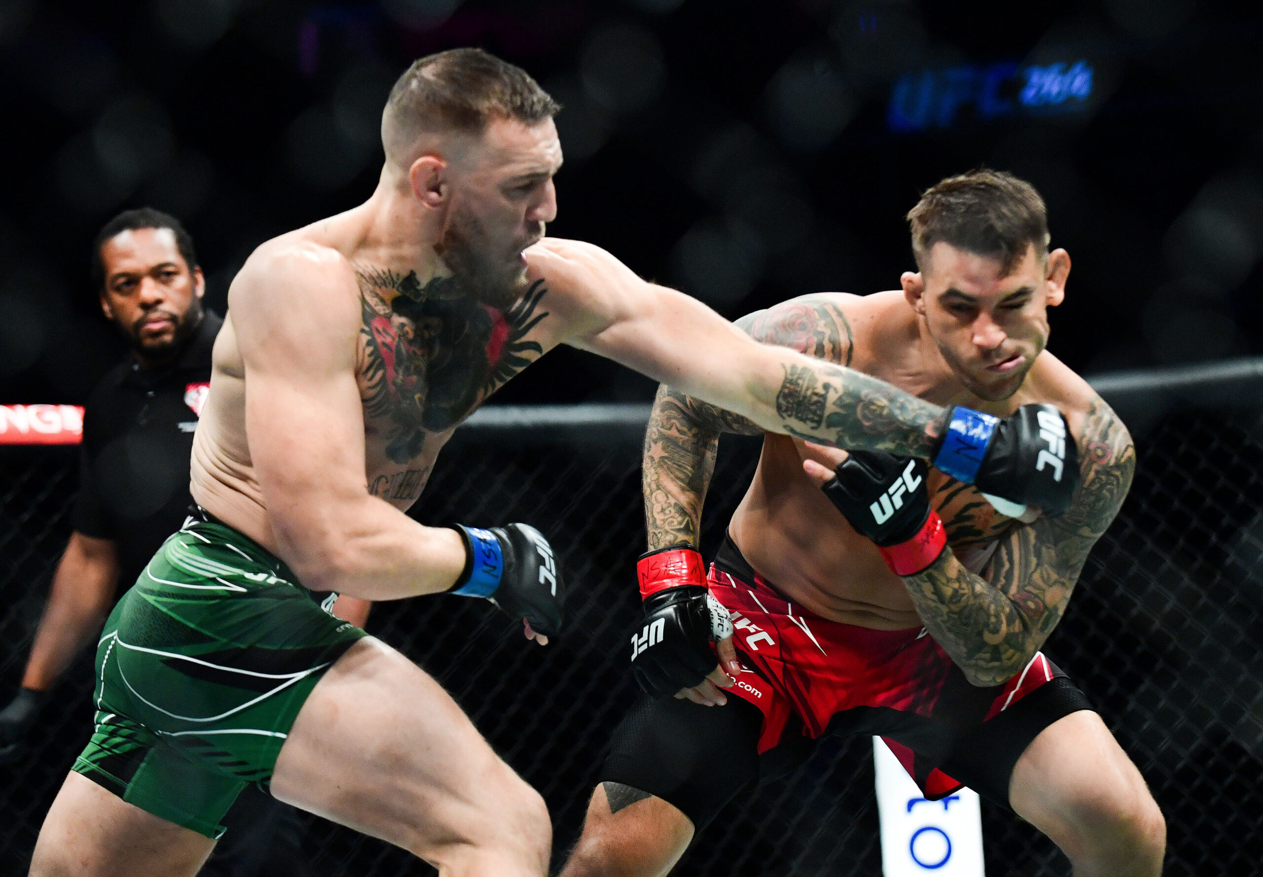 Conor McGregor anuncia candidatura à presidência da Irlanda