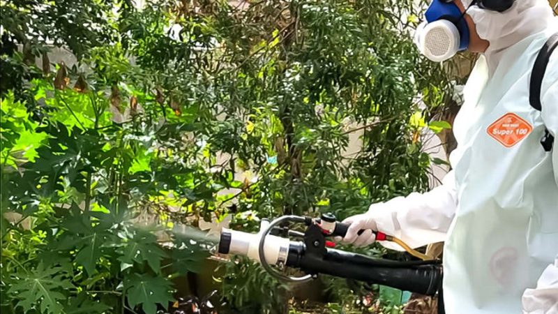 Hortolândia alerta sobre a importância de cada morador fazer sua parte no combate ao Aedes aegypti – Jornal Aqui Paulínia