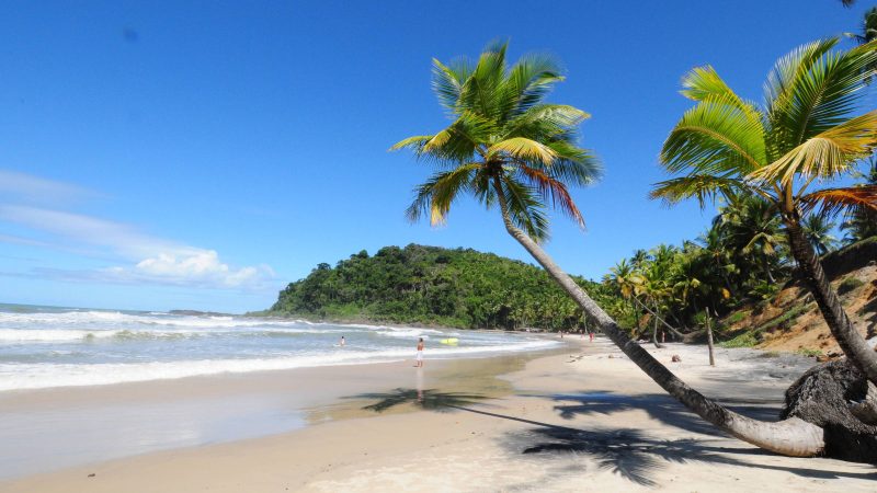 Itacaré, na Bahia, vira referência para surfistas – 10/03/2025 – Turismo