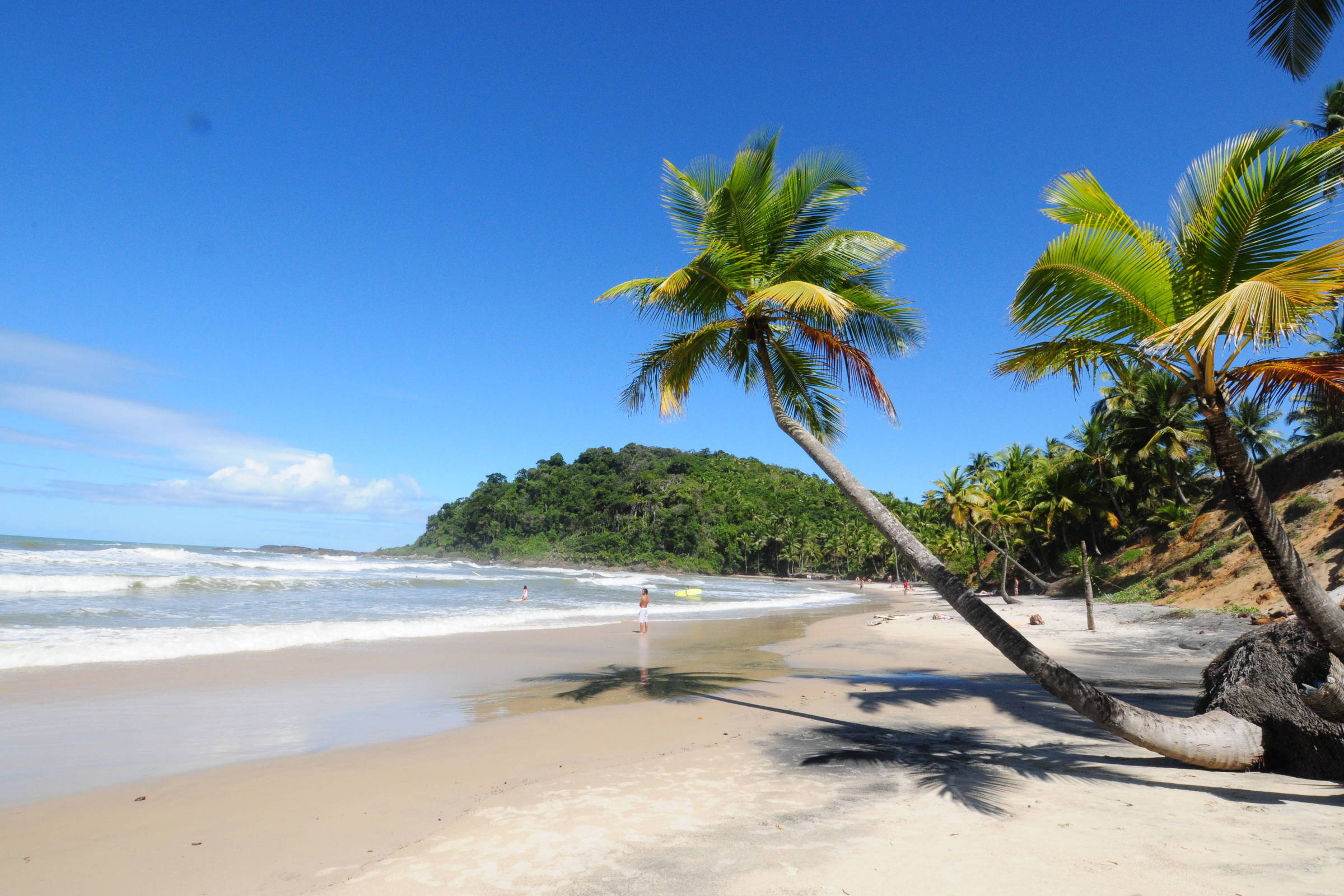 Itacaré, na Bahia, vira referência para surfistas – 10/03/2025 – Turismo