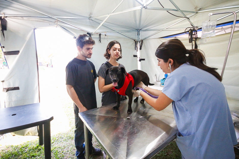 Prefeitura realizará Conferência do Bem-Estar Animal em abril – Jornal Aqui Paulínia
