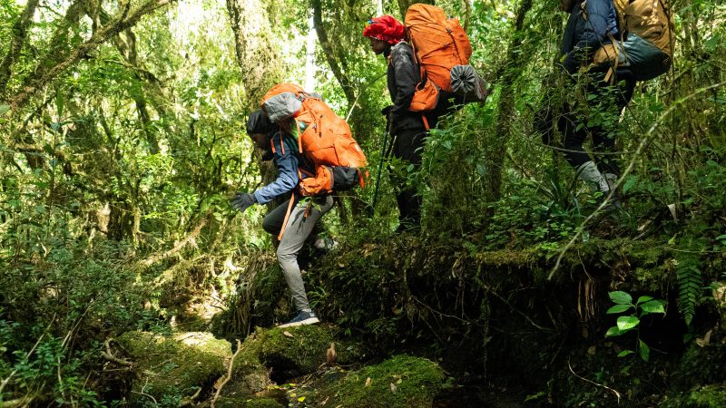 Projetos sociais se unem para iniciar jovens no trekking – 12/03/2025 – É Logo Ali