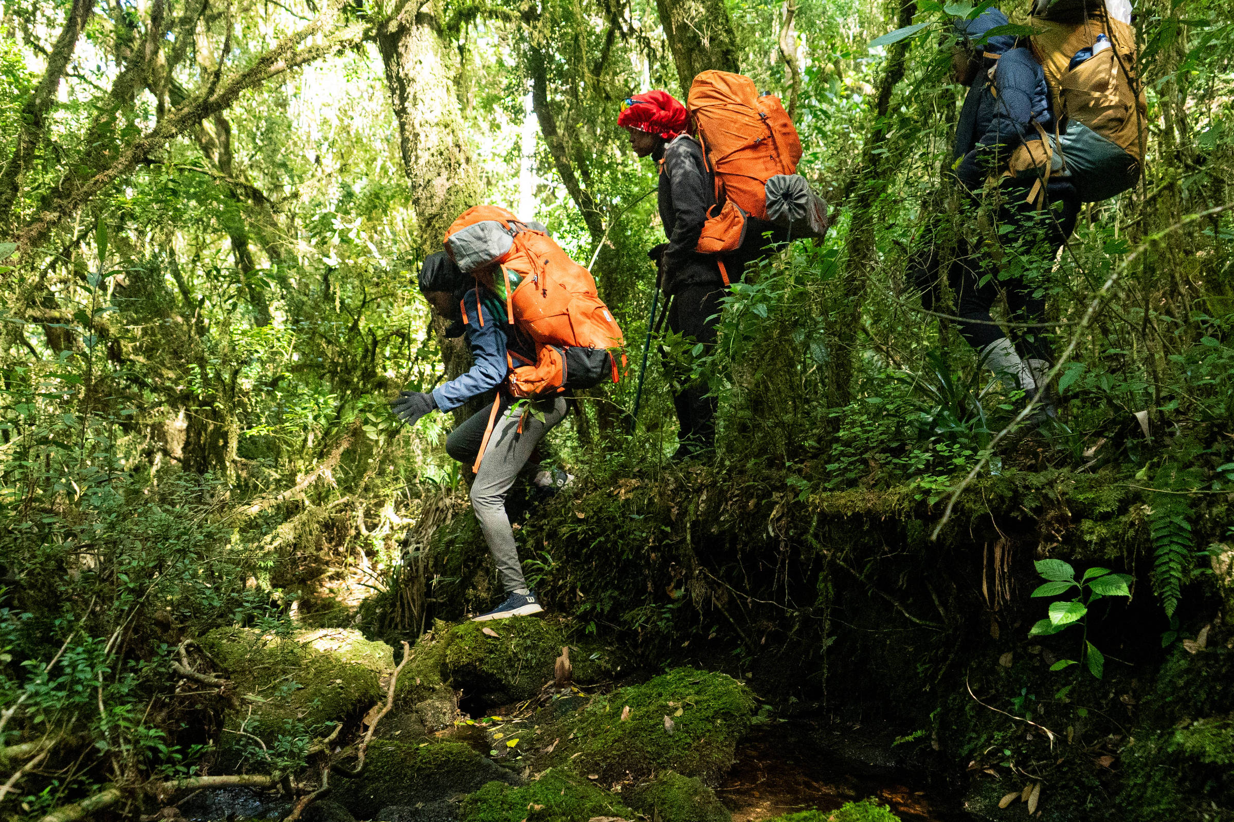 Projetos sociais se unem para iniciar jovens no trekking – 12/03/2025 – É Logo Ali