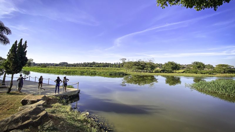 Sargento Camargo quer revitalizar mini pantanal e realizar testes neuropsicológicos – Câmara Municipal de Paulínia – Jornal Aqui Paulínia