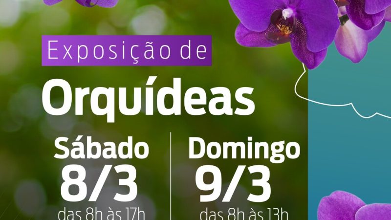 Tradicional exposição de orquídeas de Hortolândia acontece nos dias 8 e 9 de março – Jornal Aqui Paulínia