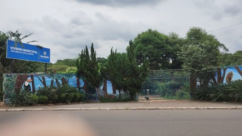 Viveiro Municipal de Hortolândia fechará temporariamente para manutenção a partir de segunda (10/03) – Jornal Aqui Paulínia