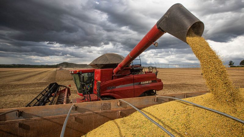 Após primeiras colheitas, Conab confirma estimativa de safra recorde