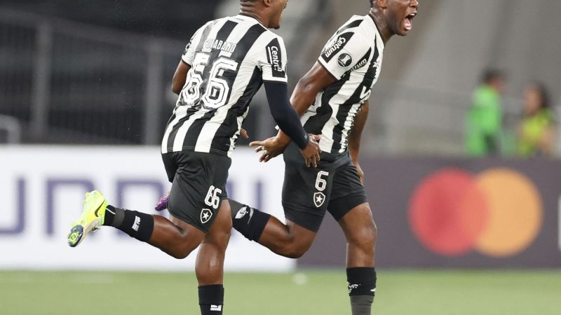 Botafogo vence primeira na Copa Libertadores