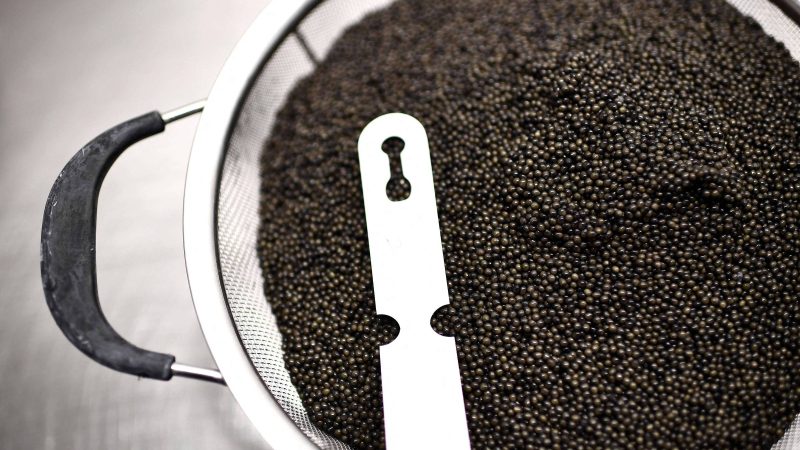 Caviar barato tem tanta graça quanto o filé de tilápia – 29/04/2025 – Cozinha Bruta