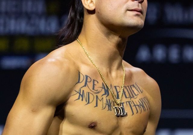 Conheça os brasileiros que vão lutar no UFC 314