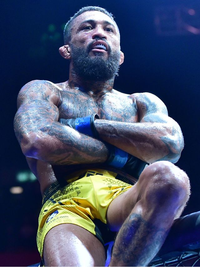 Conheça os brasileiros que vão lutar no UFC Vegas 105