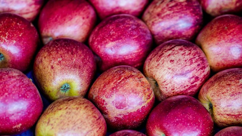 Exportação de frutas cresceu 26% no primeiro trimestre de 2025