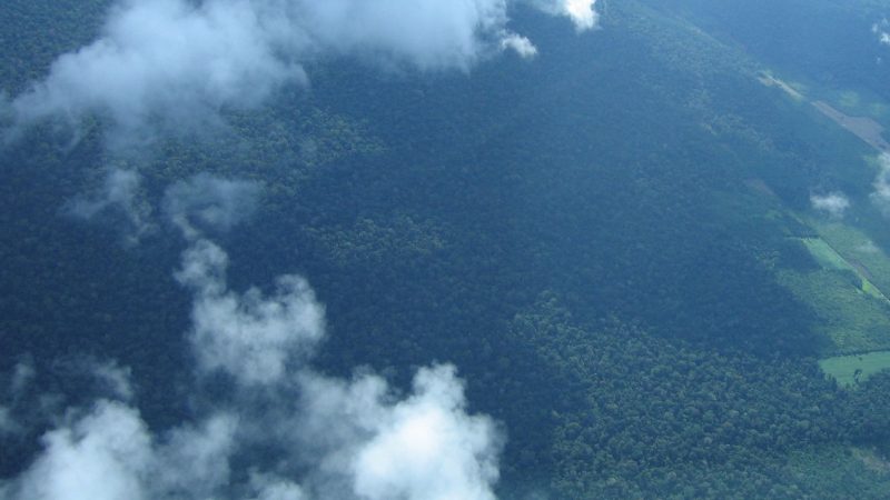 Petrobras comprará R$ 450 milhões em créditos de carbono na Amazônia