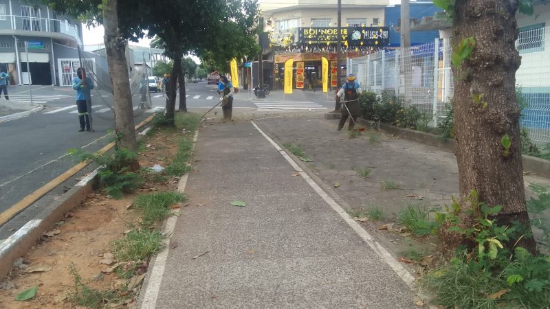 Pq. Socioambiental Irmã Dorothy Stang recebe mutirão de poda do mato e limpeza – Jornal Aqui Paulínia