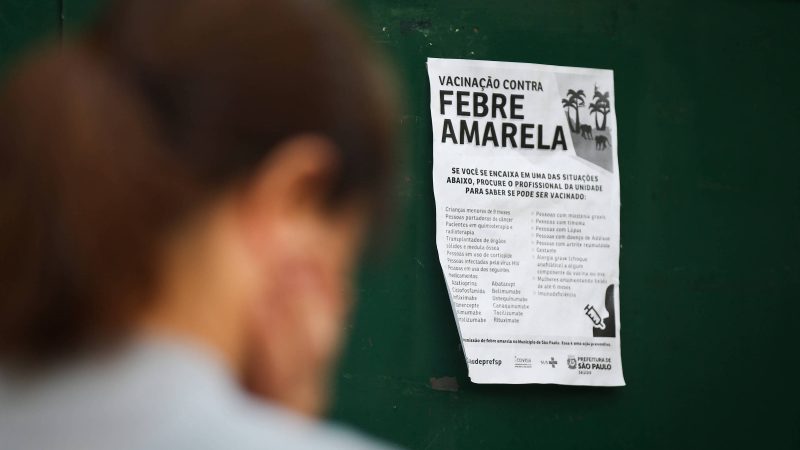 Equador exigirá vacina de febre amarela do Brasil – 02/05/2025 – Turismo