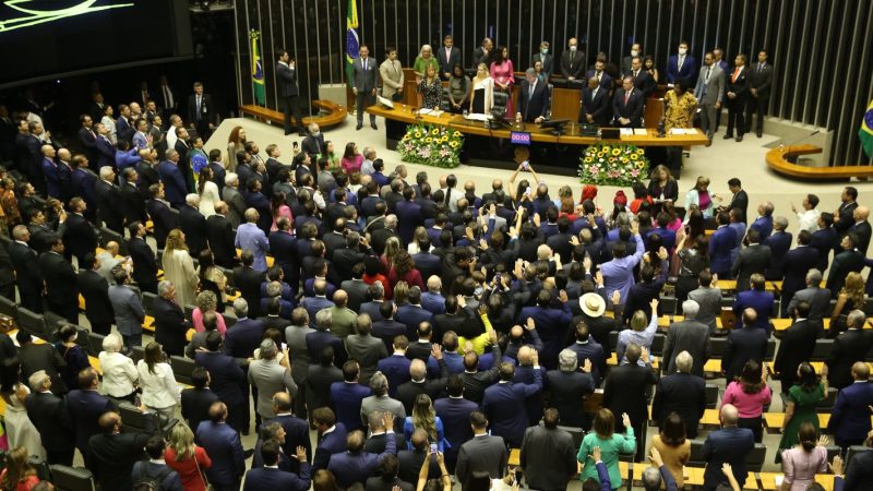 Por decisão do STF, número de deputados federais pode mudar