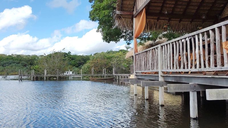 Como é visitar a Floresta Nacional do Tapajós na cheia – 16/07/2025 – Turismo