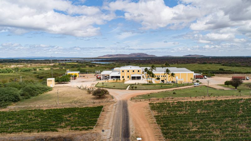 Conheça o turismo de vinhos no vale do São Francisco – 23/07/2025 – Turismo