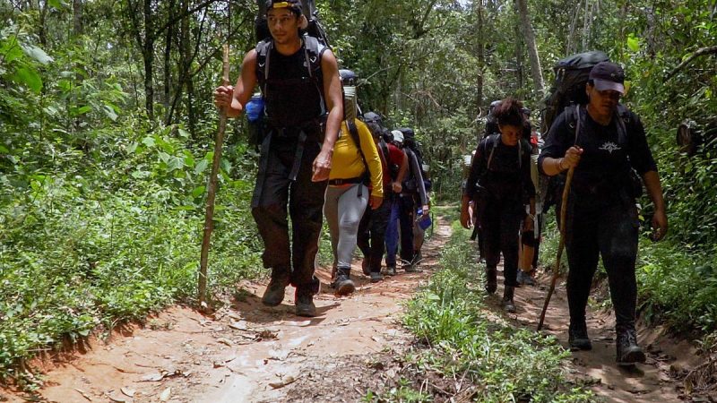 Dicas para viver (e sobreviver) na natureza – 25/06/2025 – É Logo Ali