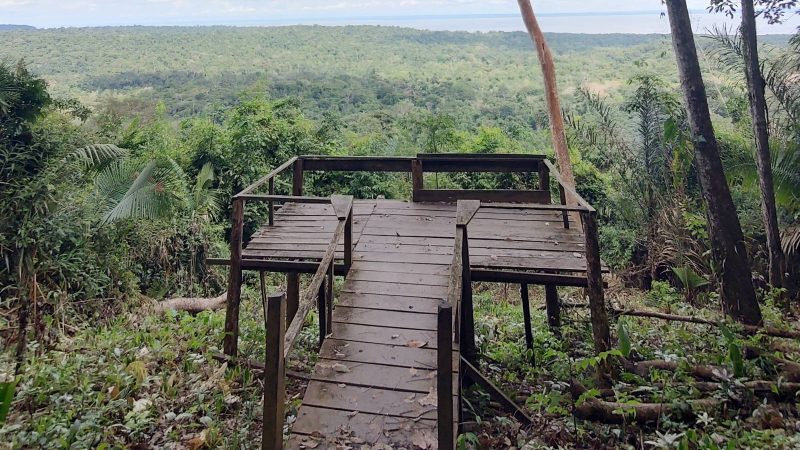 Época de cheia é chance de conhecer Alter do Chão gastando menos – 16/07/2025 – Turismo