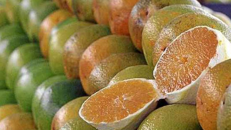Exceções do tarifaço representam 43,4% do valor exportado aos EUA