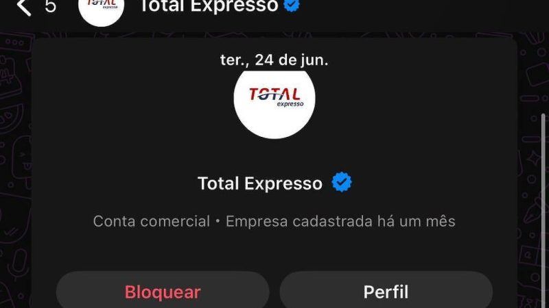 Golpistas pagam selo do WhatsApp e anúncios no Google – 23/07/2025 – Tec